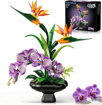 Orchid Flowers Building Set, Bird of Paradise & Orchid Botanical Collection with Vase