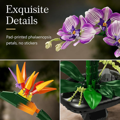 Orchid Flowers Building Set, Bird of Paradise & Orchid Botanical Collection with Vase